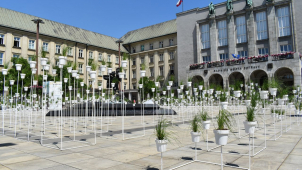 Ostravské Prokešovo náměstí zdobí 790 květináčů