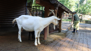 V zoo byl zahájen druhý turnus letní školy