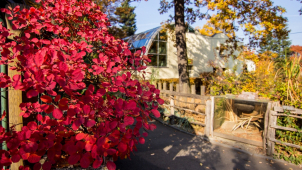 Historicky nejvyšší návštěvnost ostravské zoo byla překonána