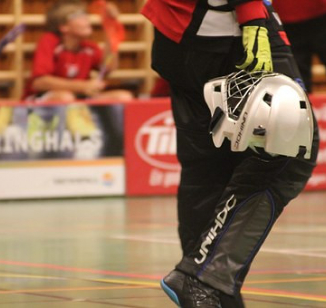 Vítkovice vládnou florbalu v Česku