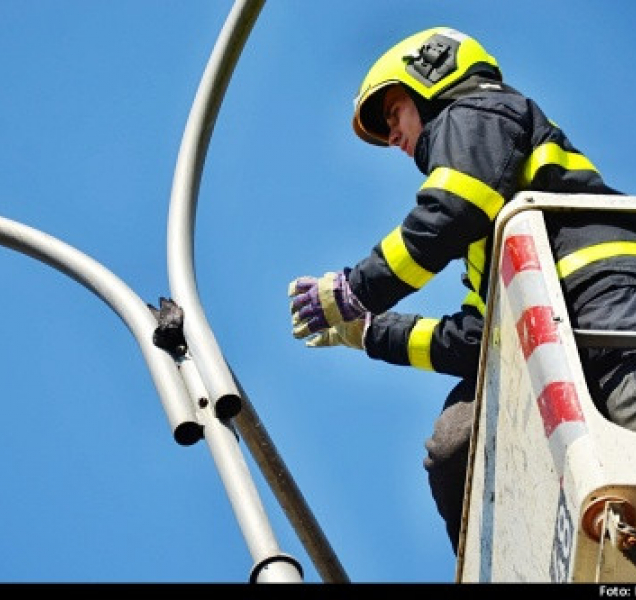 Kavka může děkovat hasičům za svobodu