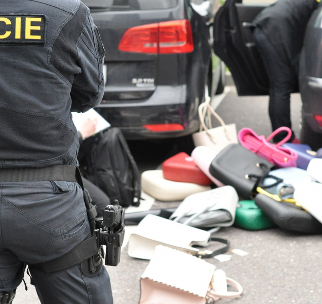 Ostravští kriminalisté objasnili sérií vloupání do aut