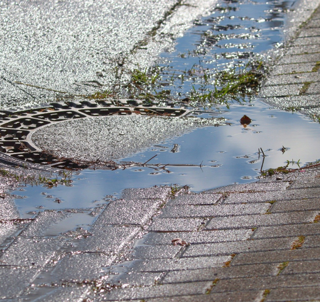 Sucho nepolevuje. Je potřeba lépe nakládat s vodou v krajině