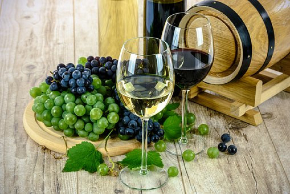 Mezinárodní přehlídka vín Cuvée Ostrava 2019